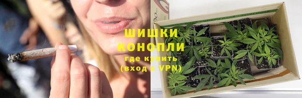 эйфоретик Белоозёрский