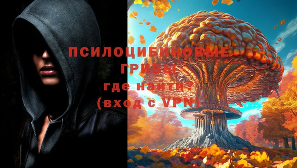 МДМА Белокуриха
