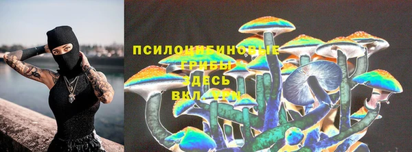 МДМА Белокуриха