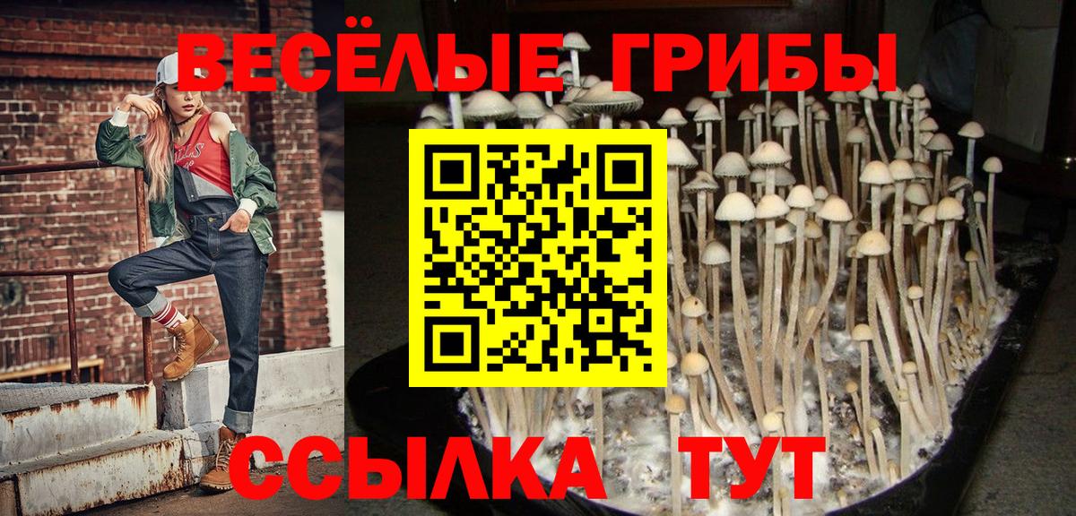 Благодарный  Псилоцибиновые грибы GOLDEN TEACHER  Вход с VPN 